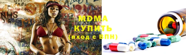 хмурый Бородино