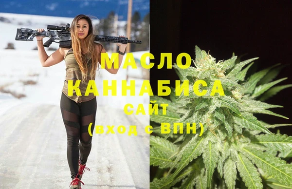 хмурый Бородино