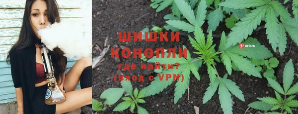 хмурый Бородино