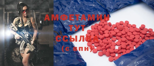 хмурый Бородино