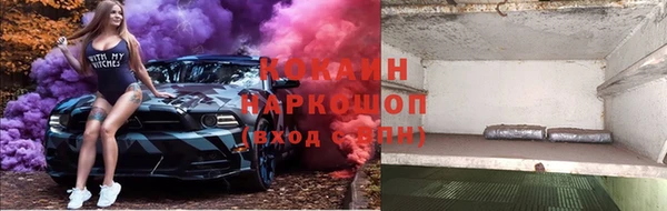 хмурый Бородино